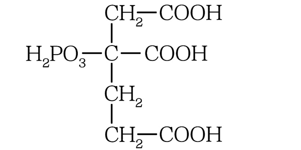 pbtca